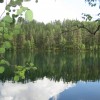IMG_2370