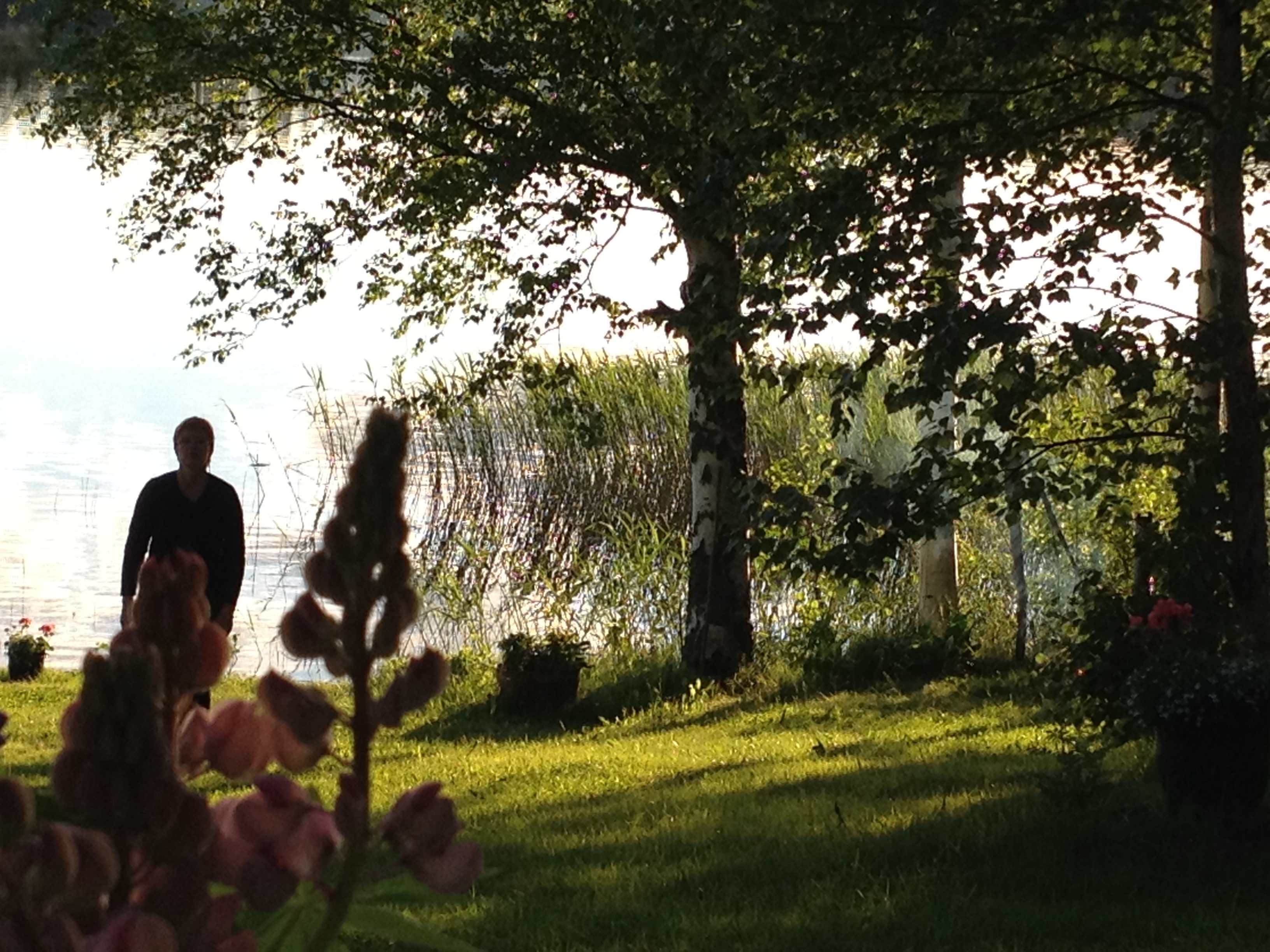 The Subtle Art of Provoking Serendipity